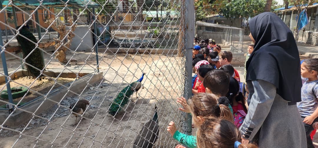 تصویر مقاله