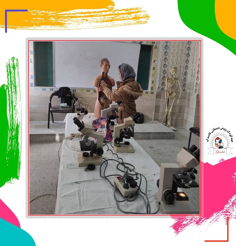 مجتمع قاصدک دانش 