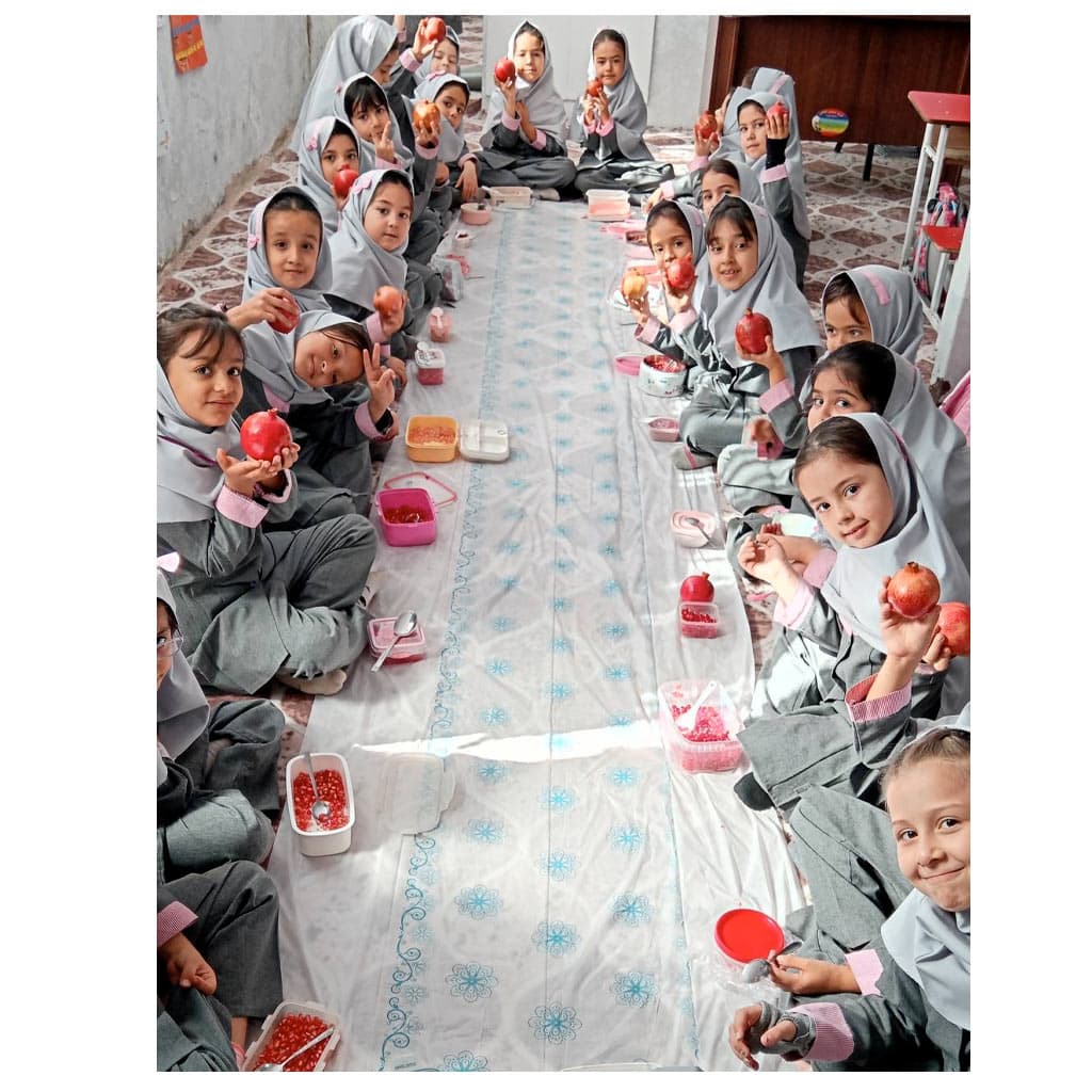 مجتمع قاصدک دانش